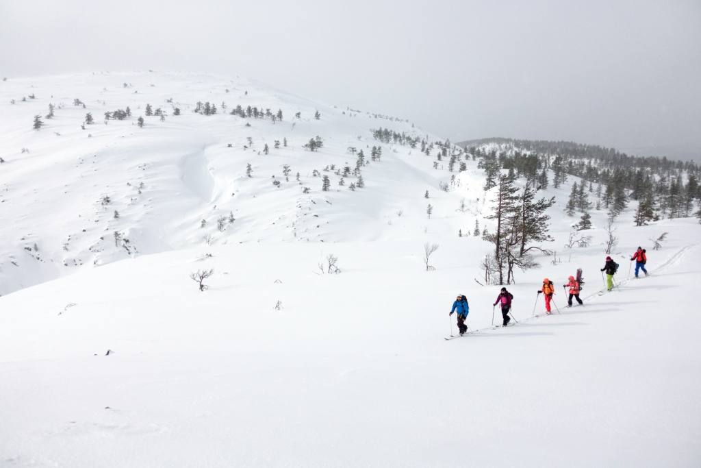 ски-тур Финляндия hendrik-morkel-fDMEBjI2wDY-unsplash.jpg