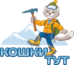 koshkitut.png