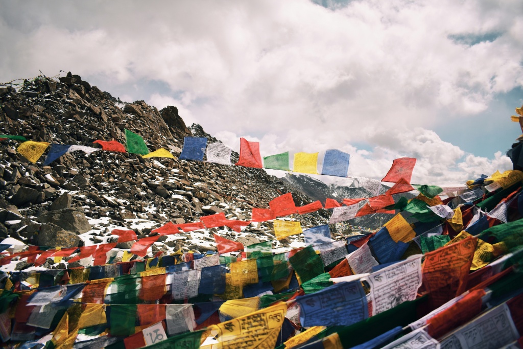 shubham-sharma-CfFhDCHWHiE-unsplash.jpg