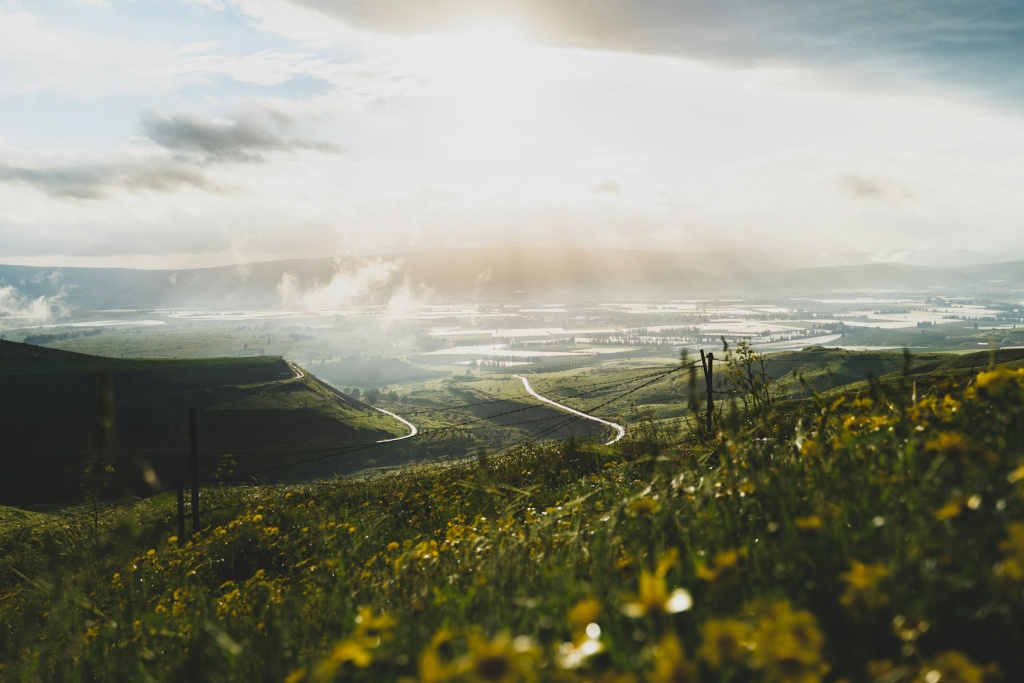 aviv-ben-or-g_Abgn1slAM-unsplash.jpg