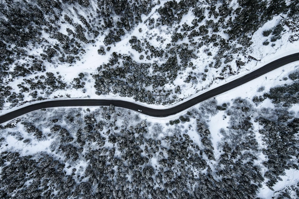 pexels-iamllwyd-33687828.jpg